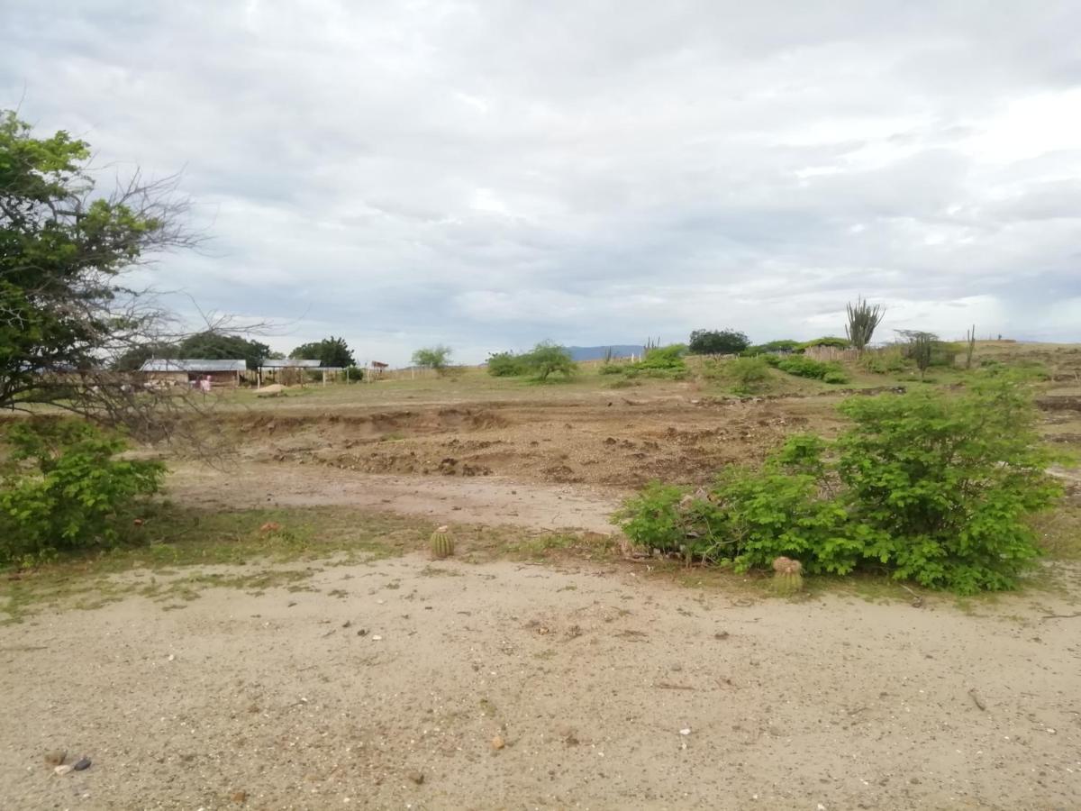 Pachingo La Primavera Villavieja Ngoại thất bức ảnh