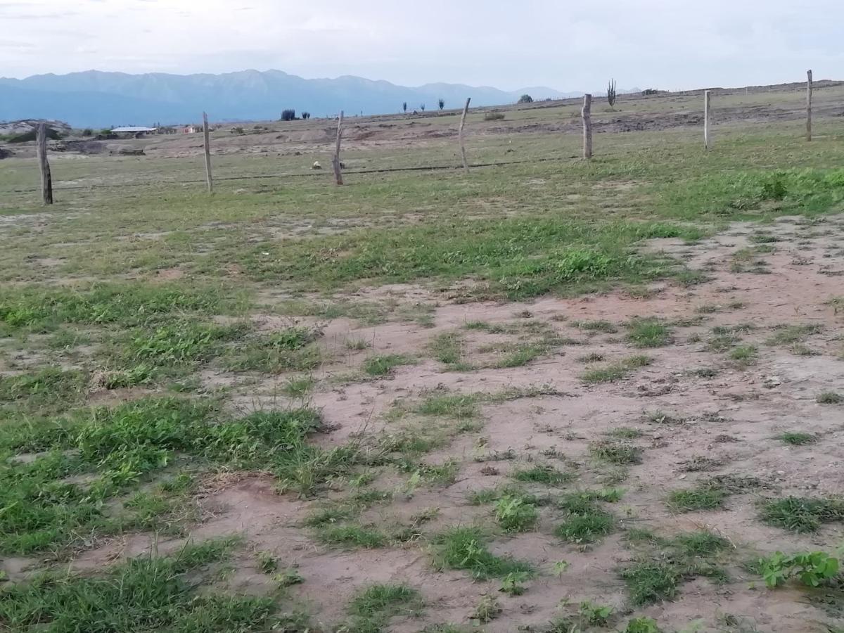 Pachingo La Primavera Villavieja Ngoại thất bức ảnh