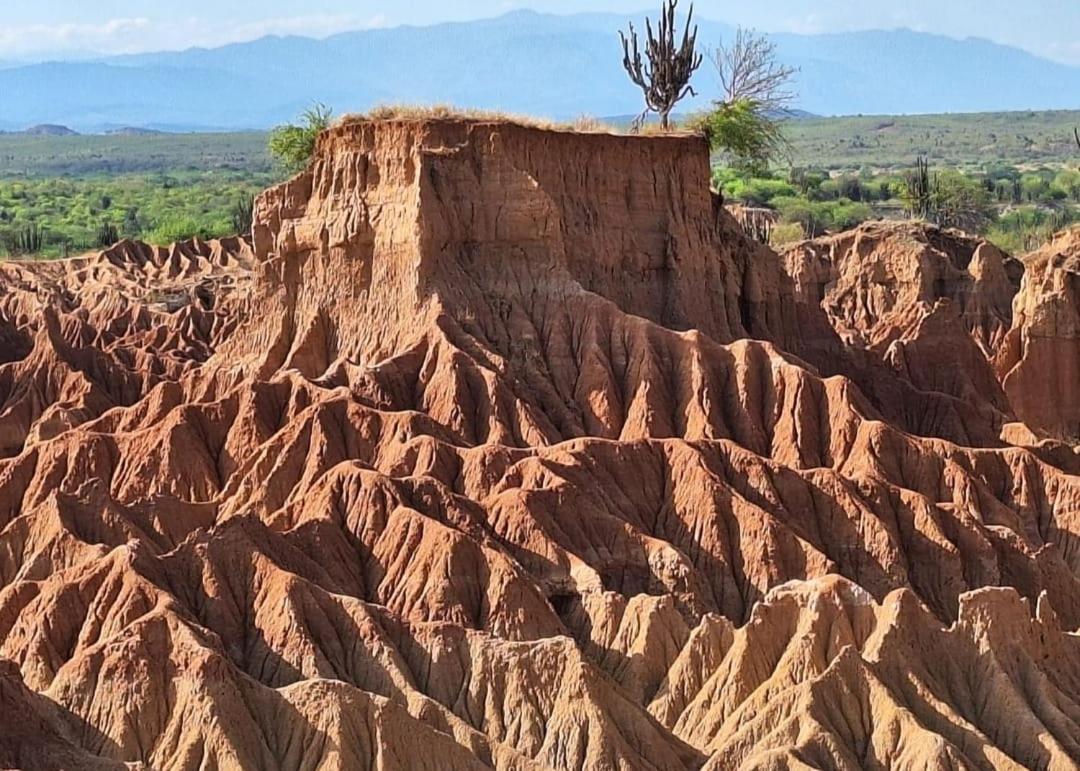 Pachingo La Primavera Villavieja Ngoại thất bức ảnh