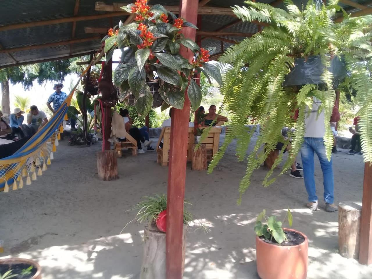 Pachingo La Primavera Villavieja Phòng bức ảnh